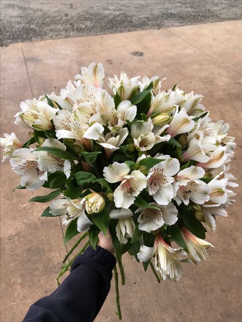 White Alstroemeria Bouquet, Giant Wedding Bouquet, Alstroemeria Garden, Alstroemeria Wedding Bouquet, Alstroemeria Aesthetic, Alstroemeria White, Alstroemeria Wedding, White Alstroemeria, Alstroemeria Bouquet