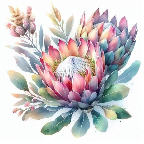 Fynbos Watercolour, Fynbos Paintings, Proteas Painting, Fynbos Illustration, Protea Flower Drawing, Protea Wallpaper, Minion Coloring Pages, Protea Art, Herb Art