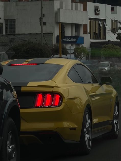 Yellow mustang 💛 Yellow Mustang Gt, Mustang Aesthetic, Yellow Mustang, 2014 Mustang, Mustang Wallpaper, Mustang Fastback, Motor Vehicle, Mustang Gt, Motor Car