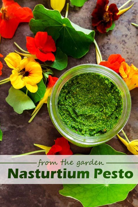 Nasturtium Pesto Vegan, Nasturtium Pesto, Nasturtium Leaves, Fresh Basil Recipes, Edible Flowers Recipes, Perfect Pasta, Pesto Recipe, Garden Recipes, Flower Food