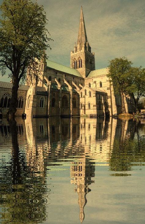 Chichester Cathedral, Sussex, England Chichester Cathedral, Architecture Monument, English Cathedrals, West Wittering, Sussex England, Gothic Cathedrals, Cathedral Architecture, Cathedral Church, Chichester