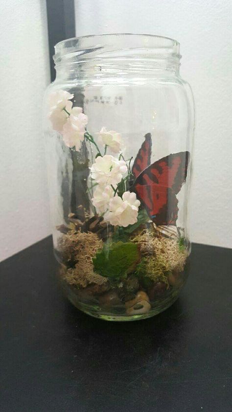 Butterfly in a jar craft! Fill an empty pickle jar with rocks, glue some preserved moss on top and stick in some fake flowers. The butterfly is from the dollar store Mason Jar Nature Crafts, Pickle Jar Vase, Fake Moss Crafts, Preserving Butterflies, Butterfly In Jar, Butterflies In A Jar, Butterfly In A Jar, Scene Crafts, Pickle Jar Crafts