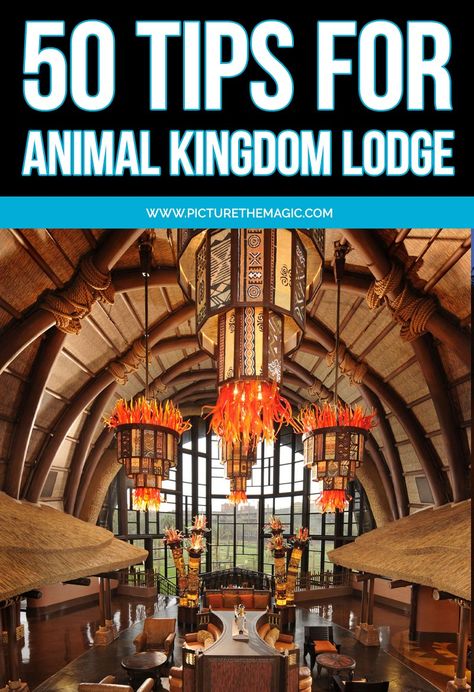 Animal Kingdom Lodge Kidani Village, Disney Animal Kingdom Lodge, Animal Kingdom Lodge, Disney Resorts, Disney Resort, Disney Vacations, Disney Trips, Dream Vacations, Animal Kingdom