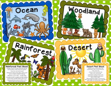 Animal Habitats Preschool Free Printable, Habitat Posters, Habitat Of Animals, Animal Habitat Project, Types Of Habitats, Habitat Poster, Animal Classification Worksheet, Science Corner, Rainforest Facts