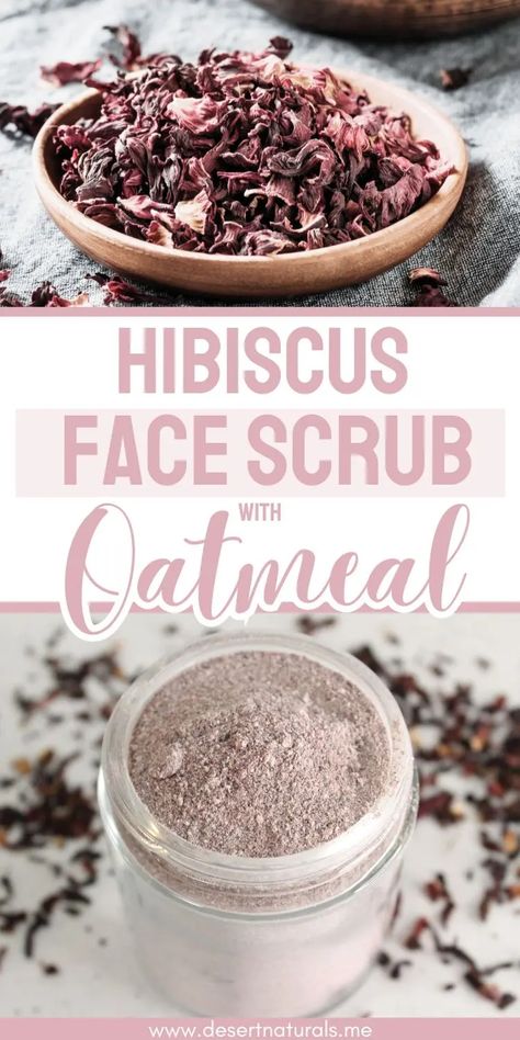 jar of homemade hibiscus face scrub with oatmeal and a bowl of dried hibiscus flowers Facial Scrubs Homemade Recipes, Diy Exfoliating Face Scrub, Homemade Facial Scrub, Facial Scrub Recipe, Oatmeal Face Scrub, Scrub Recipe Diy, Face Scrub Recipe, Charcoal Face Scrub, Natural Face Scrub