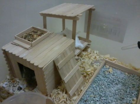 Popsicle stick creation - Hamster Central Diy Hamster Toys Easy, Diy Hamster House, Kandang Hamster, Diy Hamster Toys, Diy Rat Toys, Hamster Diy Cage, Gerbil Toys, Roborovski Hamster, Popsicle Stick Houses