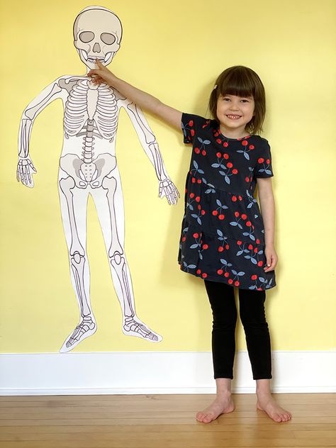 Life-Size Printable Human Skeleton for Kids Life Size Human Body Project, Printable Life Size Anatomy, Life Size Skeleton Printable Free, Printable Skeleton Template, Human Skeleton For Kids, Skeleton Worksheet, The Human Body For Kids, Skeleton For Kids, Paper Skeleton