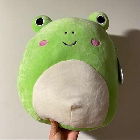 Wendy The Squishmallow, Squishmallows Froggy, Wendy Squishmallow, Green Squishmallow, Wendy The Frog, Frog Squishmallow, Squish Mallows, Dumbo Octopus, The Loch Ness Monster