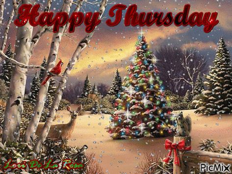 HAPPY THURSDAY Saturday Christmas, Christmas Tree Outdoor, Happy Wednesday Images, Wednesday Greetings, Thursday Greetings, Good Morning Christmas, Good Morning Winter, Morning Christmas, Weekend Greetings