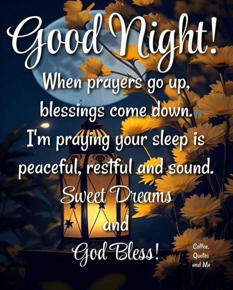 Nighty Night Quotes, Goodnight Blessings, Good Night Love You, Good Night Everybody, Good Night Cards, Good Night Friends Images, Good Night Cat, Night Love Quotes, Beautiful Good Night Quotes