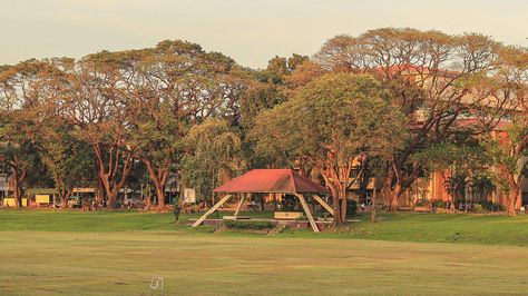 Up Diliman Aesthetic, Mundane Beauty, University Of The Philippines Diliman, Up Diliman, Lyrics Background, Street Shopping, Tagalog Quotes Funny, Indie Films, Filipino Culture