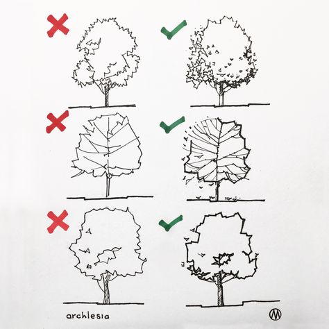 Drawing of trees in architectural sketches Follow @archlesia_en for more! Architectural Trees, Architecture Drawing Presentation, Tree Sketch, Architecture Drawing Sketchbooks, Landscape Architecture Drawing, Perspective Drawing Architecture, Architecture Drawing Plan, Architectural Sketches, Tree Sketches