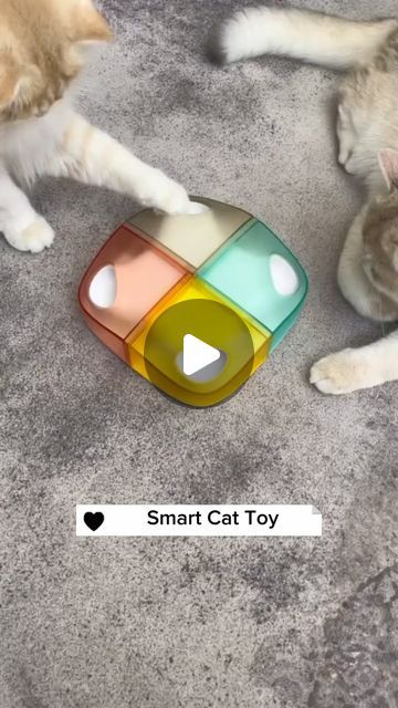 Nio Pets on Instagram: "🌟 Elevate playtime with our Interactive Smart Cat Toy! 🐾 Experience Electronic Automatic Random Moving, Ambush Feather, and Chew Fun—all in one! 🕹️🐱 USB Rechargeable for endless entertainment. 🚀✨ #SmartCatToy #InteractivePlay #PetEntertainment #TechForPets" Interactive Play, Cat Toy, Cool Pets, Cat Toys, Play Time, All In One, Entertainment, Electronics, Toys