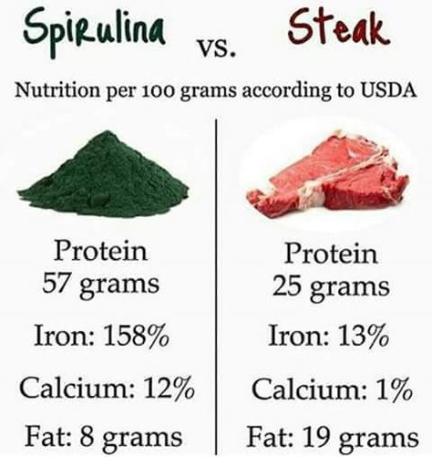 What Is Spirulina, Alkaline Diet, Food Info, Healing Food, Natural Medicine, Health Remedies, Health And Wellbeing, Healthy Tips, Holistic Health