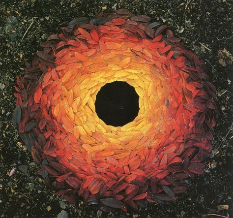 Andy Goldsworthy - British sculptor who creates temporary installations out of leaves,sticks, stones, and anything and everything else that he finds outside.  Goldsworthy’s work is transient and ephemeral, leading many to view it as a comment on the Earth’s fragility Andy Goldworthy, Ephemeral Art, Andy Goldsworthy, Nature Artists, Earth Art, Gcse Art, Leaf Art, Environmental Art, Land Art