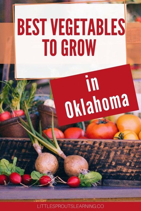 Oklahoma Fall Garden, Oklahoma Homestead, Fall Planting Guide, Homesteading Hacks, Best Vegetables To Grow, Fall Crops, Growing Vegetables In Pots, Land Design, Garden Prepping