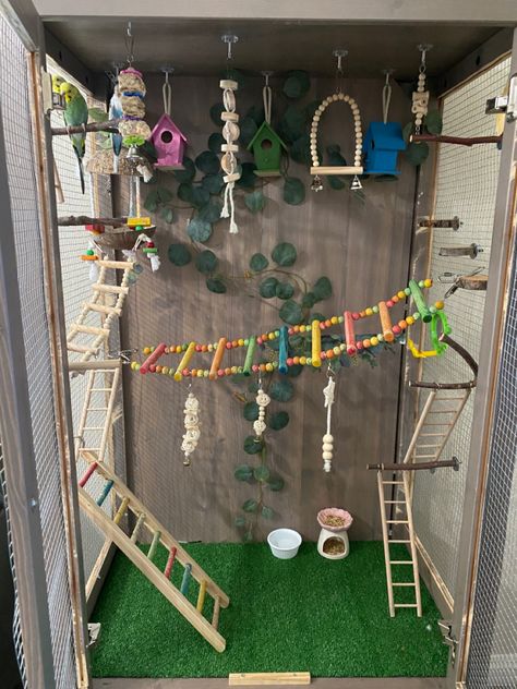 Cute Bird Cage Setup, Parrots House Ideas, Birdcage Ideas Pet, Cool Parakeet Cages, Pet Parakeet Aesthetic, Diy Pet Bird Toys, Diy Bird Play Stand, Diy Bird Cage Accessories, Indoor Aviary Ideas Pet Birds