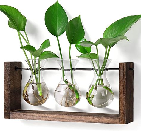 Amazon.com: YIBOT Plant Terrarium with Wooden Stand,Plant Propagation Stations ,Wall Hanging Glass Planter Desktop Plant Propagation Vase for Indoor Office Home Garden Decor Plant Lover Gifts for Women : Patio, Lawn & Garden Tabletop Terrarium, Hanging Glass Planters, Pot Gantung, Test Tube Vase, Bulb Vase, Plant Terrarium, Terrarium Containers, Plant Propagation, Garden Wedding Decorations