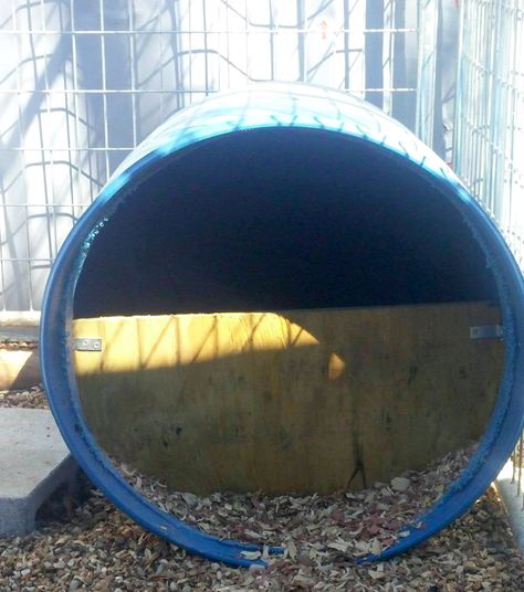 Why we prefer to use blue barrels for dog houses Outdoor Cat House Diy, Barrel Dog House, Cheap Dog Houses, Barrel Dog Bed, Quail Coop, Plastic Dog House, Diy Cat Bed, Raising Quail, Barrel Ideas