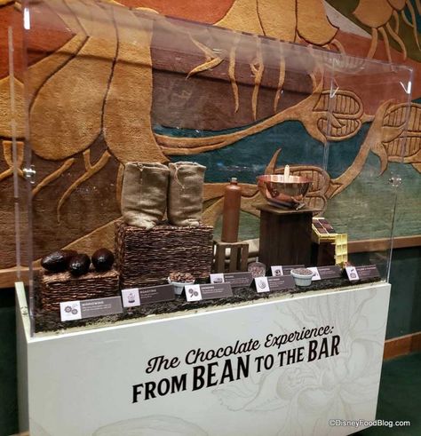 The Chocolate Experience -- From Bean to the Bar Hosted by Ghirardelli Chocolate Company: 2019 Epcot Food and Wine Festival | the disney food blog Chocolate Store Window Display, Chocolate Bar Display, Chocolate Store Design, Chocolate Display, Epcot Food And Wine Festival, Chocolate Sundae, Gold Factory, Drinking Chocolate, Coffee Shop Branding