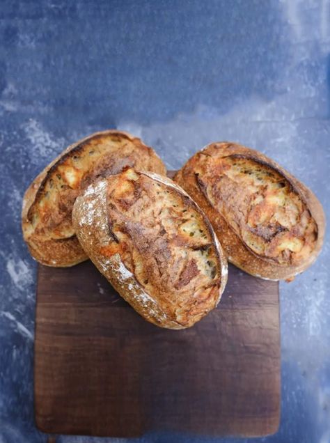 Thyme Uses, Cheese Sourdough, Whole Wheat Sourdough, Onion Bread, Rosemary And Thyme, Rye Flour, Gouda Cheese, Dough Scraper, Smoked Gouda