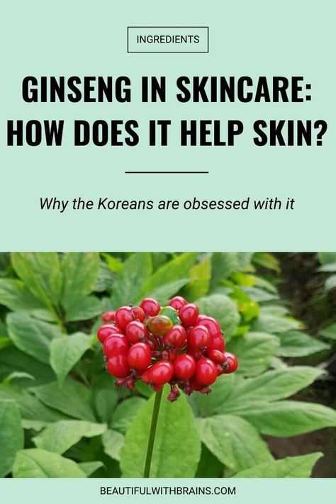 Red Ginseng Benefits, Ginseng Benefits, Korean Skincare Products, Aesthetic Health, Health Aesthetic, Skincare Habits, Skin Diet, Skincare 101, Asian Skincare