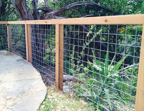 Pergola Bed, Fence With Wire, Hog Panel Fencing, Wire Fence Ideas, Cattle Panel Fence, Hog Wire Fence, Welded Wire Fence, Cattle Panels, Wire Mesh Fence