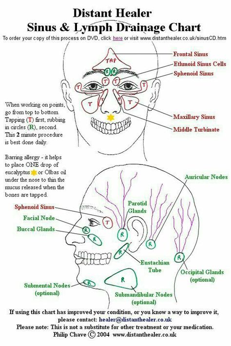 Lymph Drainage Massage, Lymph Massage, Lymph System, Lymph Drainage, Womens Health Care, Health Heal, Massage Techniques, Natural Health Remedies, Alternative Health