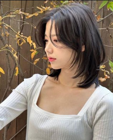 Pretty Hair Cuts, Shortish Hair, Shot Hair, Hair Inspiration Long, Layered Haircuts For Medium Hair, Asian Short Hair, Hair Inspiration Short, Haircuts For Medium Hair, Haircuts Straight Hair