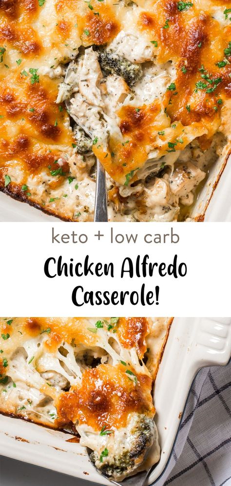 Keto chicken alfredo casserole that you bake into a creamy, cheesy meal that’s perfect for family and friends. This low carb keto casserole is only 2g net carbs per serving, follow my simple tips on the best way to make it cheesy and delicious. Keto Alfredo Casserole, Keto Alfredo Bake, Keto Chicken Broccoli Alfredo Casserole, Easy Healthy Casserole Recipes Low Carb, Low Carb Alfredo Bake, Low Carb Alfredo Recipes, Easy No Carb Dinner Recipes, No Carb Meals Dinners Easy, Keto Alfredo Chicken Bake