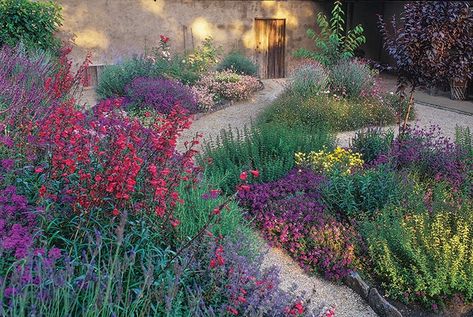 Secrets To A Successful Cottage Garden Cottage Garden Drought Tolerant, Landscaping Drought Tolerant, Colorful Perennials, California Landscaping, Walkway Garden, California Native Garden, High Country Gardens, California Backyard, Mid Term