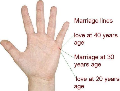 Love Lines – This line is also called as Marriage Line Marriage Lines Palmistry, Palm Reading Charts, Palmistry Reading, Palm Lines, Reading Charts, Line Love, Palm Reading, Tarot Spreads, Married Life