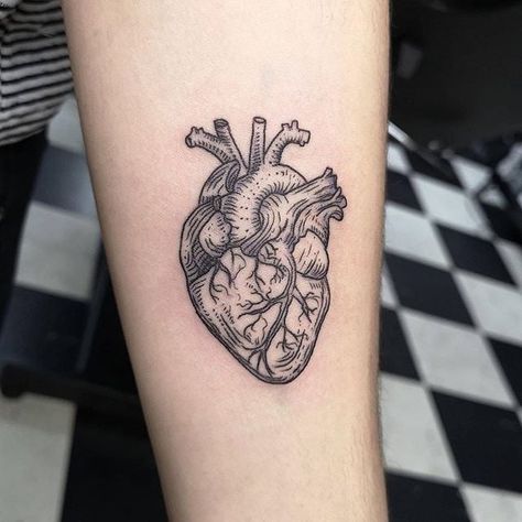 Real Heart Tattoos, Human Heart Tattoo, Realistic Heart Tattoo, Tattoo Artistic, Anatomical Heart Tattoo, Engraving Tattoo, Arm Band Tattoo, Heart Tattoo Designs, Anatomical Heart