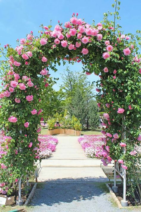 Rose Garden Landscape, Garden Planning Layout, Arch Designs, Benfica Wallpaper, Floral Archway, Rose Garden Design, Garden Tattoos, Garden Entrance, Decor 2024