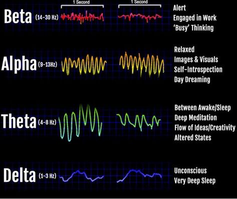 Silva Mind Control, Brain Infographic, Silva Method, Psychic Healing, Opening Your Third Eye, Meditation Exercises, Manifestation Meditation, Pineal Gland, The Scientist