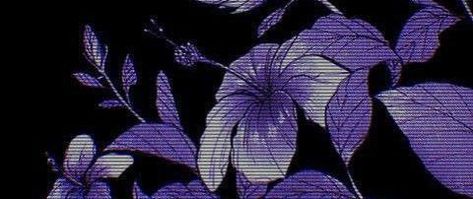 Flower Header, Purple Goth, Purple Y2k, Dark Purple Flowers, Dark Purple Wallpaper, Black Banner, Tap Tap, Purple Highlights, Dark Purple Aesthetic