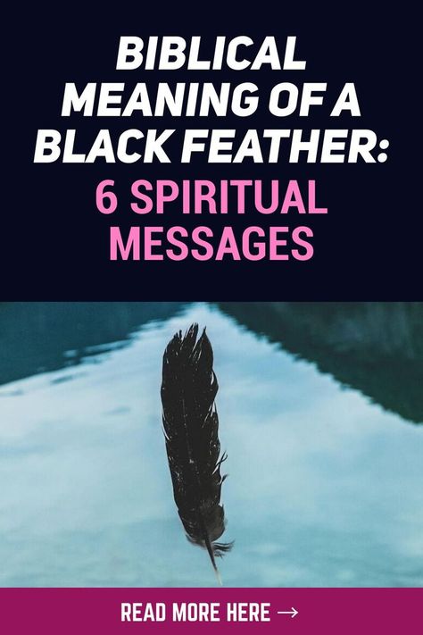 You may have come upon a black feather unexpectedly, or have had one suddenly float towards you, and wondered if it contained a spiritual message or was a divine sign from God meant just for you. Feathers are not only lovely, but they also have symbolic significance in the Bible. Depending on their features, different colors represent various spiritual meanings in your life. #spirituality #divineguidance #synchronicities Black Feather Meaning, Feather Color Meaning, Sign From God, Feather Magic, Bible Meaning, Feather Meaning, Medicine Wheel, Feather Painting, Color Meanings