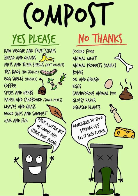 Laminated A4 poster Digitally hand drawn Basic compost dos and donts for the kitchen Composting Poster Design, Gardening Tricks And Tips, Herb Gardening For Beginners, Woodland Homestead, Homesteading Garden Layout, Compost Poster, What Is Compost, Composting For Beginners, Gardening Basics