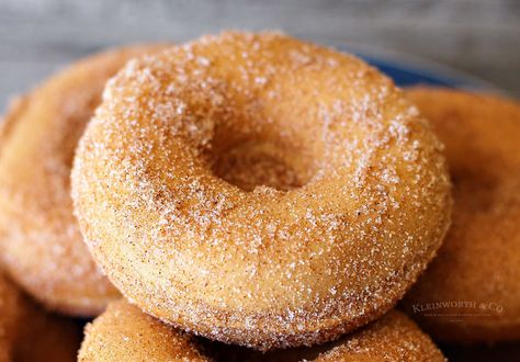 Baked Churro Donuts are an easy homemade donut recipe. Coated in cinnamon & sugar they taste just like the churros you get at Disneyland. Delicious! Homemade Donut Recipe, Mini Donut Recipes, Churro Donuts, Cake Mix Donuts, Homemade Donut, Protein Donuts, Homemade Donuts Recipe, Cinnamon Donuts, Baked Donut Recipes