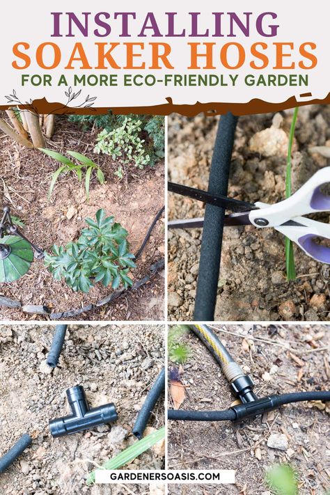 DIY Soaker Hose System (How To Install Soaker Hoses For A Greener Garden) | Gardens Diy Soaker Hose, Soaker Hose Irrigation, Garden Watering System, Soaker Hose, Vegetable Garden For Beginners, Eco Friendly Garden, Full Sun Plants, Covered Garden, Evergreen Plants