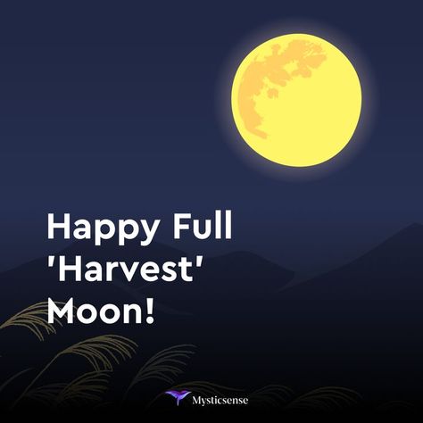 Tomorrow is ‘officially’ the full moon, however the moon will reach 100% illumination in the early morning on September 10th. This means that the best time to view the Harvest moon at its peak should be late tonight. September’s full moon is known as the Harvest moon, because this is when farmers traditionally begin harvesting their crops. This particular full moon also marks the beginning of fall and the end of summer. Happy Harvest! #fullmoon #harvestmoon #fall #autumn Beginning Of Fall, Happy Harvest, Virgo Season, Summer Happy, Lunar Eclipse, The Full Moon, Harvest Moon, The Harvest, End Of Summer