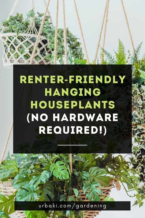 Are you a renter looking to add a bit of greenery to your space, but don't want to deal with the hassle of hardware and drilling holes? This may get your attention. From macramé hangers to tension rods and even repurposed items, there are plenty of creative ways to hang your plants without damaging your walls. You will learn how to make your own hangers and how to choose the right plants for your space. Not only will you be able to add some life to your home, but you'll also be able to take... Hanging Plants Apartment Friendly, Hanging Plants Indoor Renter Friendly, Rent Friendly Plant Hanging, Plant Wall Renter Friendly, Tension Rod For Plants, Apartment Friendly Plant Wall, How To Hang Plants Without Drilling, Apartment Friendly Plant Hanging, Plants Instead Of Curtains