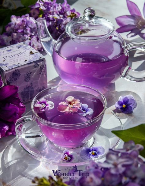 Wow Photo, Best Herbal Tea, Pretty Tea Cups, Pretty Drinks, Food Drinks Dessert, Julia Child, Purple Aesthetic, Cafe Food, Herbal Tea