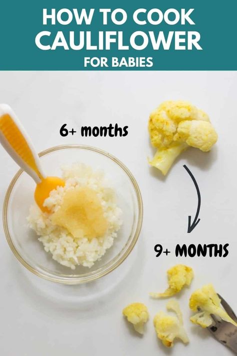 Cauliflower is a wonderful first food for babies! Here's how to cook and serve it to your baby along with easy and nutritious recipes for 6 months and up. Cauliflower Recipes For Baby, Cauliflower Blw Recipes, Cauliflower Baby Food Recipes, How To Freeze Cauliflower Without Blanching, How To Introduce Food To Baby, Baby Food 8 Months, Making Baby Food 6-9, Brooklyn Food, How To Cook Cauliflower