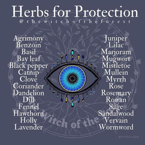 Herbs For Protection, Magickal Herbs, Manchester United Kingdom, Witch Herbs, Medical Herbs, Plant Magic, Witch Spirituality, Magic Spell Book, Magic Herbs