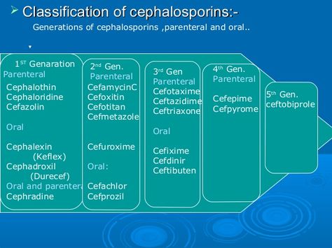 cephalosporins Cephalosporins Pharmacology, Pharmaceutical Chemistry, Nursing School Pharmacology, Study Info, Medicinal Chemistry, Alchemic Symbols, Family Nurse Practitioner, Pa School, Nursing Books