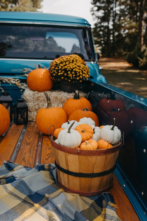 Fall Mini Shoot, Pumpkin Head Photoshoot, Head Photoshoot, Fall Aesthetics, Pumpkins And Gourds, Casa Halloween, Fall Vintage, Fall Mini Sessions, Fall Session