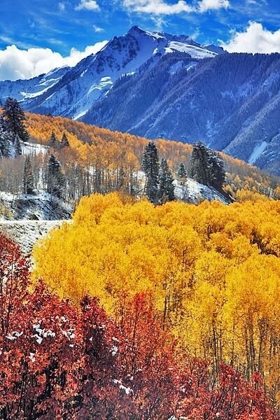 Autumn in Colorado Snow Pics, Image Nature, Mountain High, Have Inspiration, Colorado Mountains, Lombok, Pretty Places, Rocky Mountain, Amazing Nature