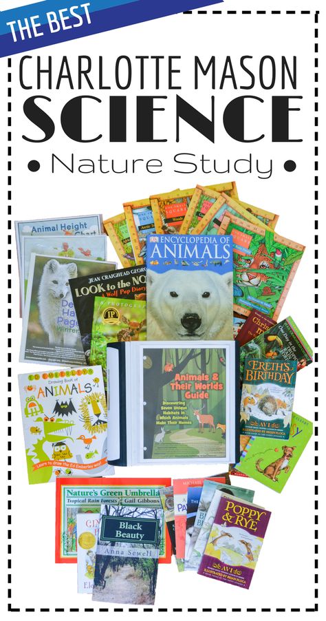 Charlotte Mason Kindergarten, Charlotte Mason Preschool, Charlotte Mason Curriculum, Homeschool Nature Study, Morning Basket, Charlotte Mason Homeschool, Reading Aloud, Homeschool Education, Look Jean