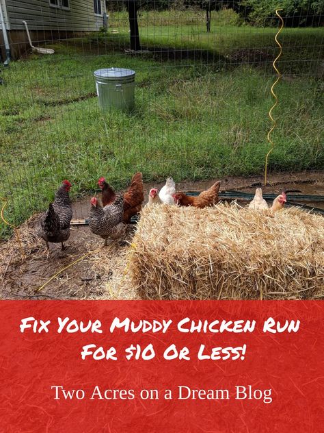 Fix Your Muddy Chicken Run For $10 or Less! – Two Acres On A Dream How To Fix A Muddy Chicken Coop, Diy Easy Chicken Run, How To Fix A Muddy Chicken Run, Chicken Run Bedding Ideas, Muddy Chicken Run, Chicken Run Flooring, Cheap Chicken Run Ideas, Chicken Runs Ideas Pens, Homesteading Goals